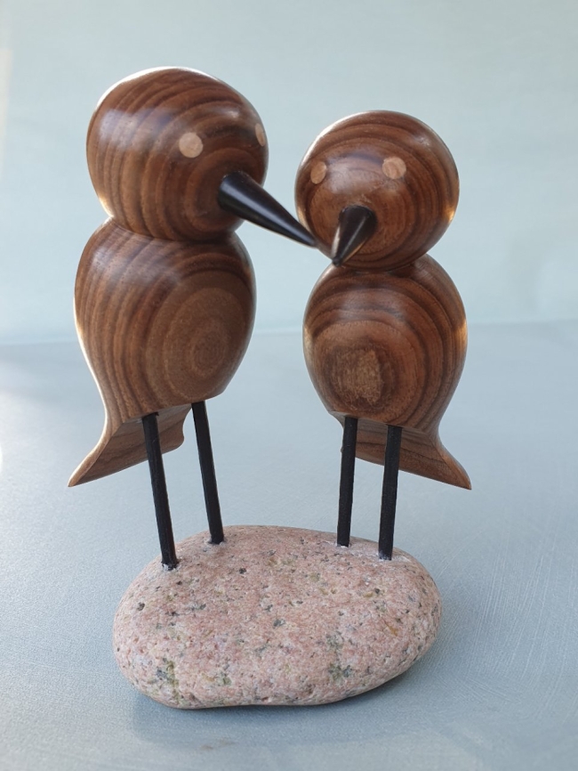 Couple d'oiseaux
