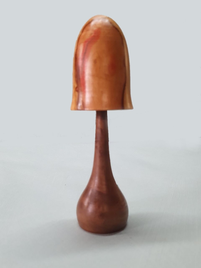 Champignon 7