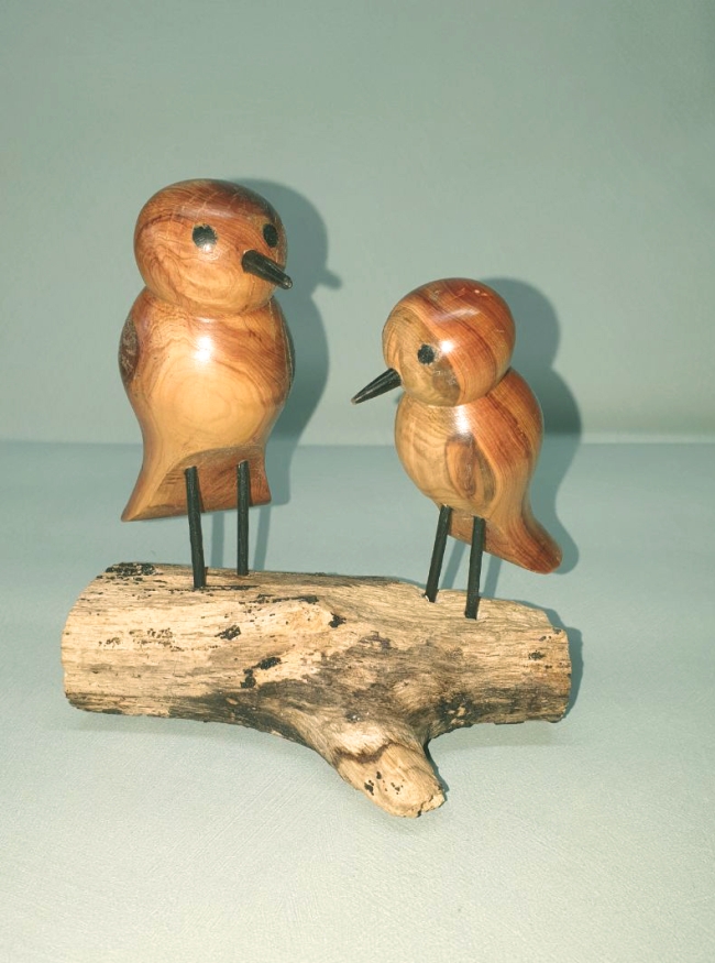 Couple d'oiseaux sur bois flotté